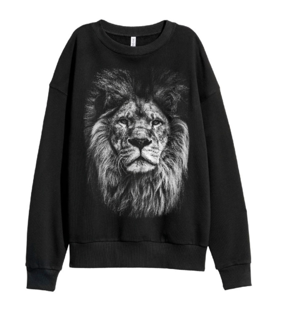 Kari Jobe - Lion Sweatshirt